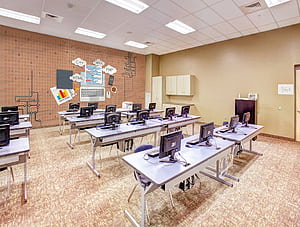 Programming mural, Programmer Room, HD wallpaper