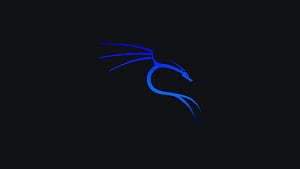 Kali Linux - Ocean, Kali Linux, .hack, Linux, HD wallpaper