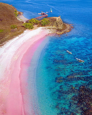 Pink Beach, Komodo National Park, Indonesian Beach, HD phone wallpaper