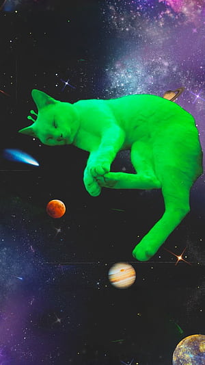 alien cat, HD phone wallpaper