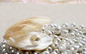 Caption: A Glistening Pearl in a radiant Seashell, HD wallpaper