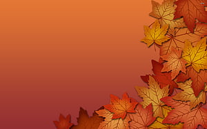 Autumn Solid, HD wallpaper
