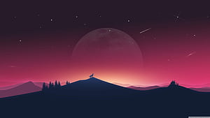 Wolf Vector, HD wallpaper