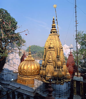 Kashi Vishwanath Temple. Description & Facts, HD phone wallpaper