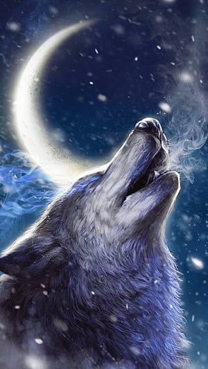 Android wolf , Customizable backgrounds, User-friendly interface, Mobile style, HD phone wallpaper