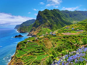 The Full Digital Nomad Guide to Madeira Nomad World, Madeira Island, HD wallpaper