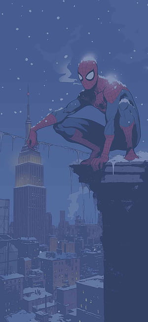 Winter New York Spider Man Comic, Spider-Man Night, HD phone wallpaper