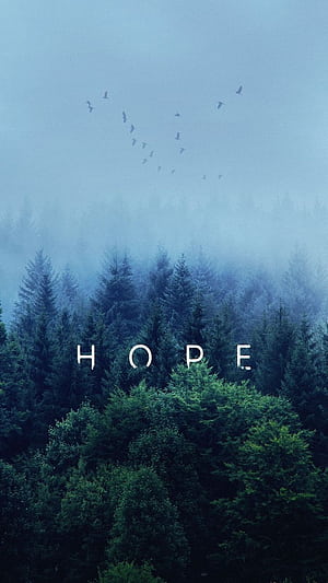 iPhone & Android, Migration, HD phone wallpaper