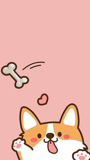 Corgi AMOLED For Android. Cute Dog, Corgi, Corgi iPhone phone, HD phone wallpaper