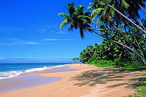 A beautiful view of the beach in Goa, India, Indian Beaches, HD wallpaper