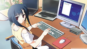 Programming Anime, HD wallpaper