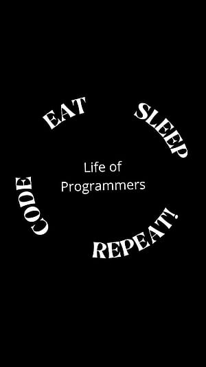 Programmer, coding, coders, programmers, HD phone wallpaper