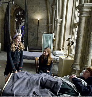 Lavender Brown, HD phone wallpaper