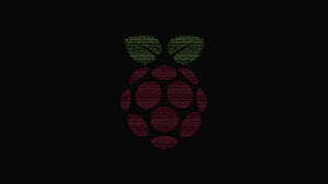 Raspberry Pi Computer Logo, raspberry-pi, computer, logo, HD wallpaper