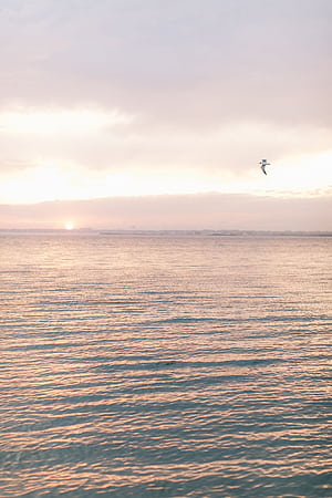 The Best Places To Watch The Sunset in Ocean City, New Jersey, Ocean City Nj, HD phone wallpaper