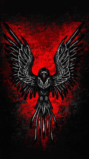 Eagle, Red Eagle, HD phone wallpaper