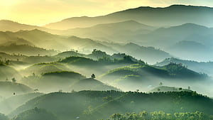 Misty Green Hills At Dawn Morning Mist Over The Emerald Hills, mist, green, hill, dawn, morning, field, nature, HD wallpaper