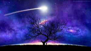 Space Tree, HD wallpaper